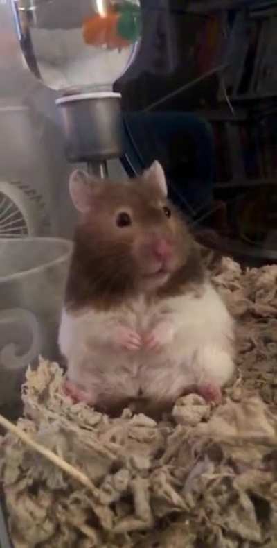 Don&rsquo;t mind me, I&rsquo;m just chilling