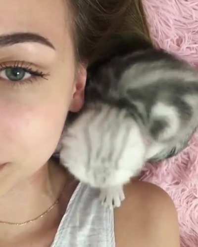 Little furball