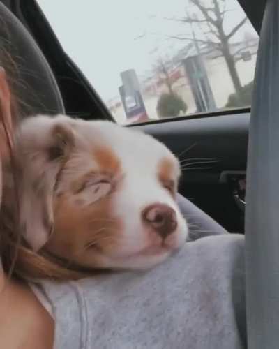 He was so happy during the trip...