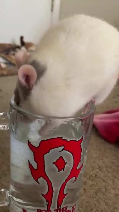 Sure Gizmo, I don&rsquo;t mind if you have a sip of water