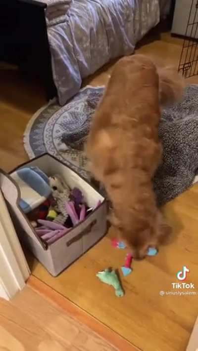 Sirius is the best doggo lol!