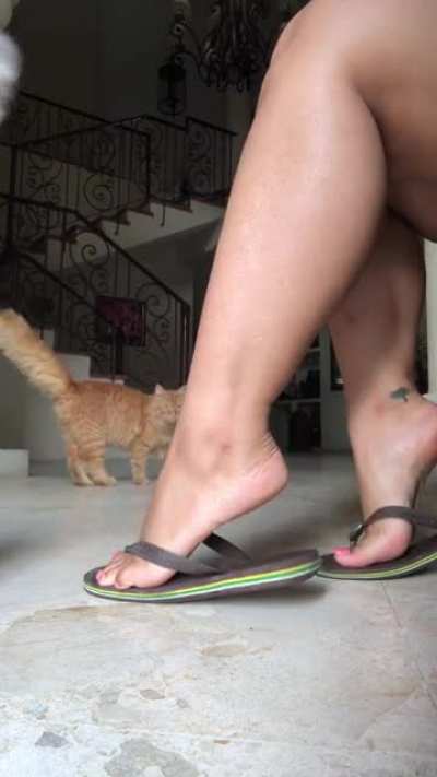Arches and soles