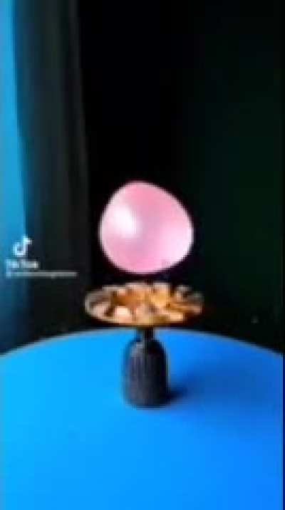 moldy balloon