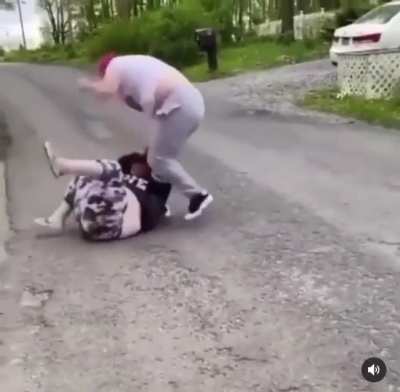 Two squealing pigs fight about&hellip; something&hellip; probably the last slice of pizza