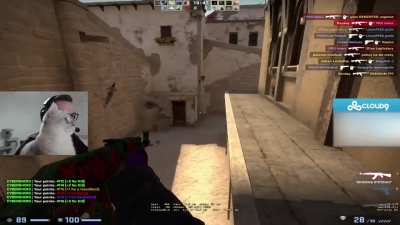 Cat Plays CS