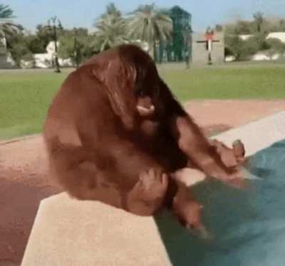 bath time