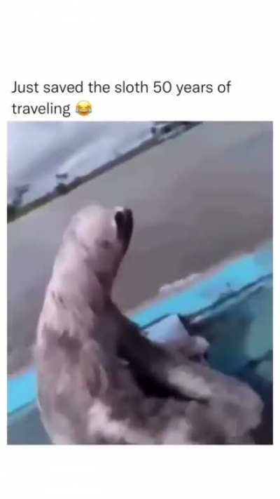 Sloth 🦥