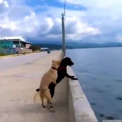 So fast!!