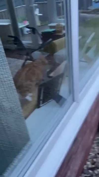 I don&rsquo;t think Nacho knows that there&rsquo;s glass there.