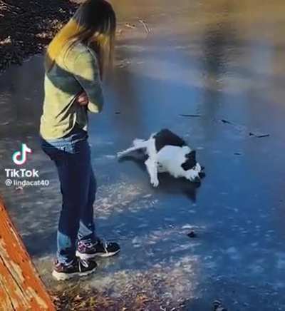 I can do that too
