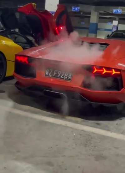 WCGW using my expensive car as a BBQ?