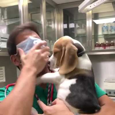 "Let me love you human!"