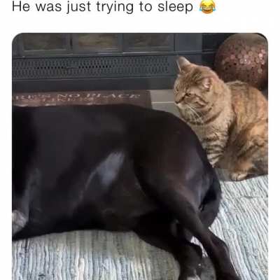Imma bite you..