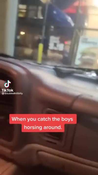 Horsing around