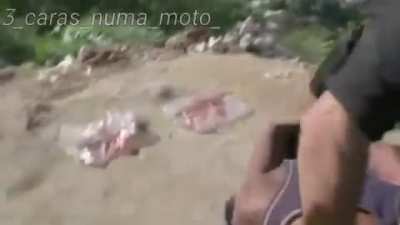 O t&iacute;tulo foi procurar o baianinho.