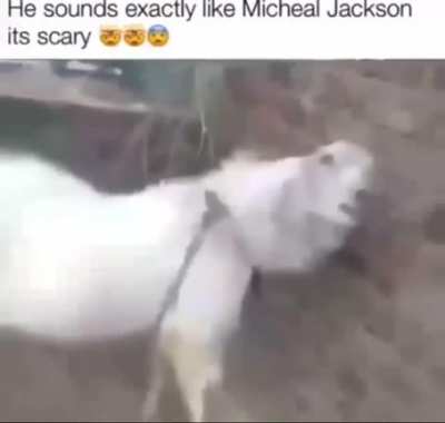OMG 😨