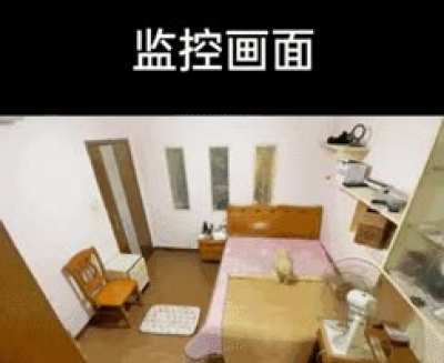 成精了