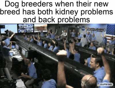 Rule