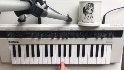 did a synth cover of White Ferrari