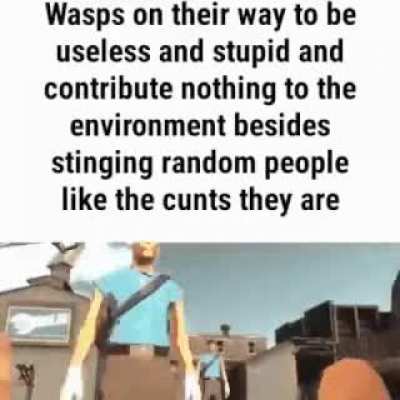 fuck wasps