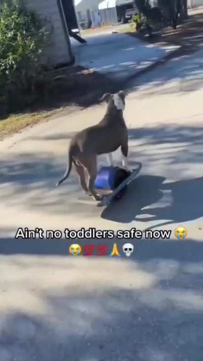 hide your childern