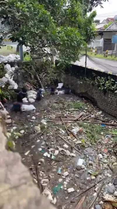 Cleaning and recycling more than 2400 kg of plastic