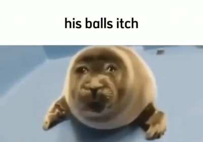 my balls itch 🥶🥶😔😔