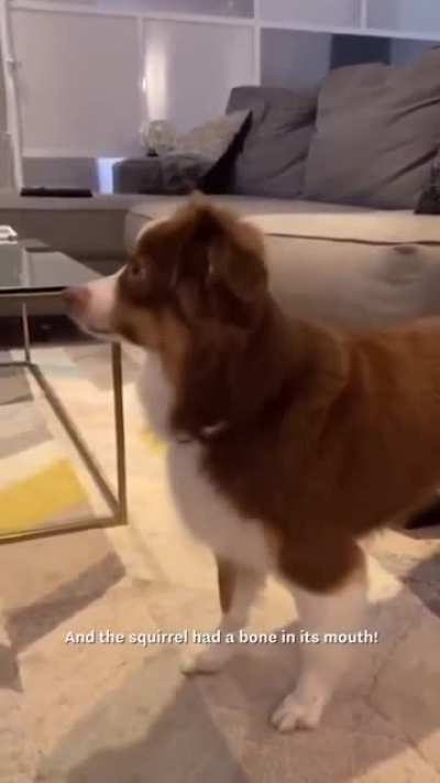 The woman uses all her dog&rsquo;s favorite words to tell her a story