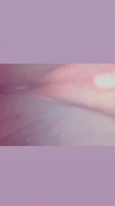 @exotic.keishaaaa