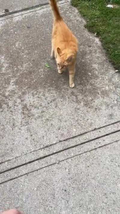 This guy has been following me for 20 minutes now