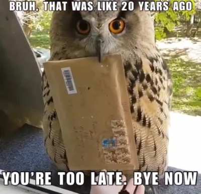 Damn, I&rsquo;m old