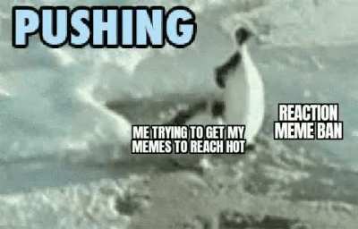 Why u bully me