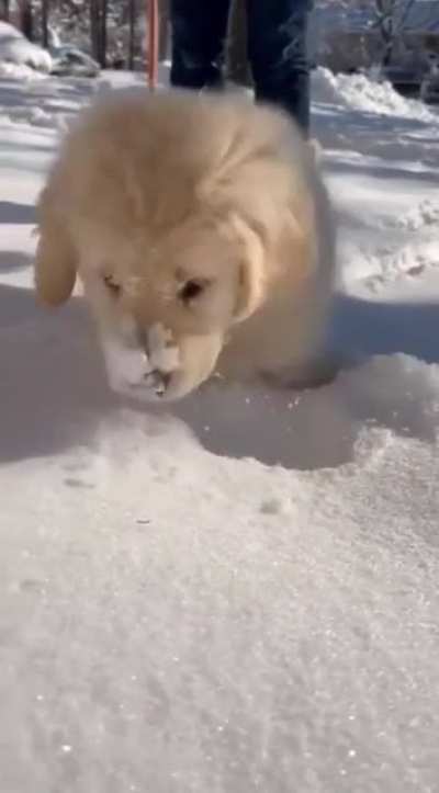 So precious!