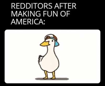 Dancing duck meme