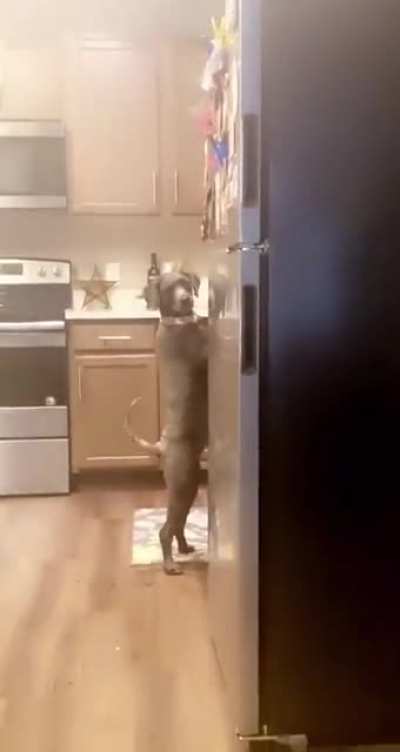 "Oh dang, they're onto me... time to act normal"