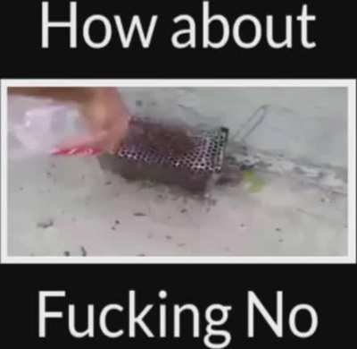 No fucking retard