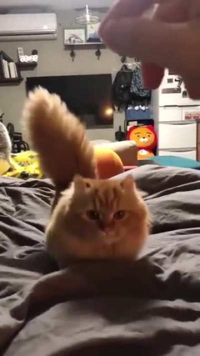 Mom am coming "Hug me"