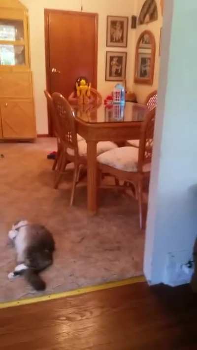 My niece sent me this today