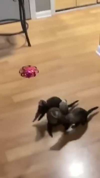 maybe maybe maybe