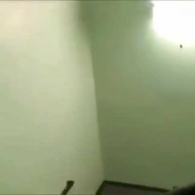 cursed prank