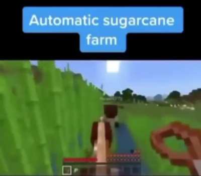 Automatic Sugarcane Farm