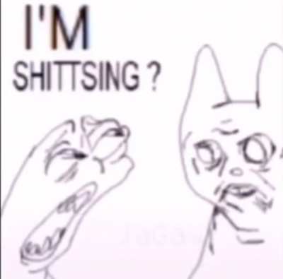 shittsing