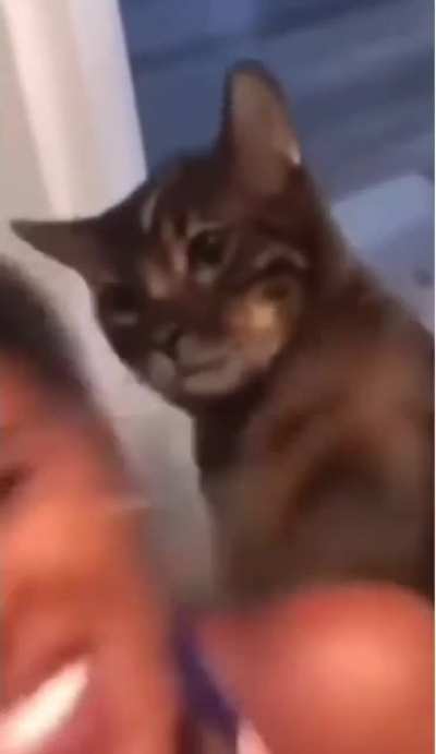 where's my food?