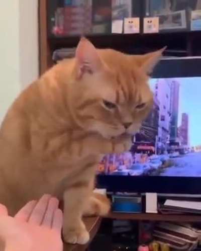 Pathetic human