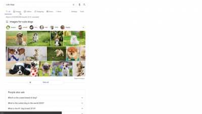Google❓irl
