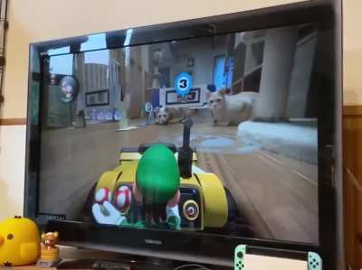 cAt aTtAcKs nEw mArIo kArT FrOm dRiViNg aRoUnD HoUsE ThEn eAtS HiM AlIvE
