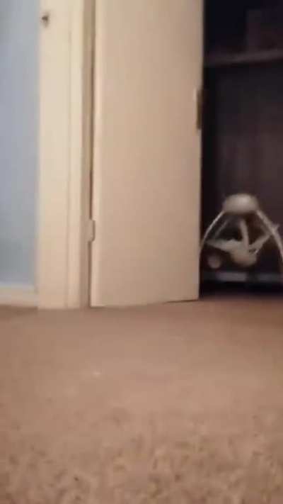 HE HAS BREACHED CONTAINMENT