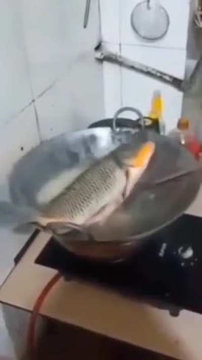 ariba