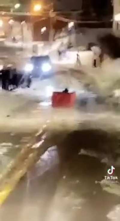 Catastrophically stupid kid flies down an icy hill in a dumpster and wipes out right in front of a cop.