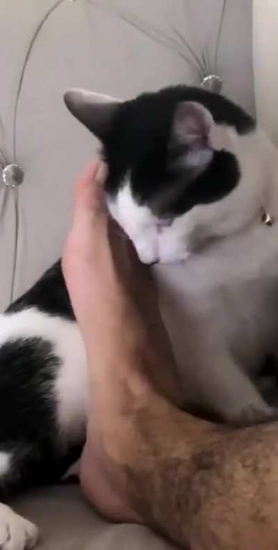 He just came up and did this